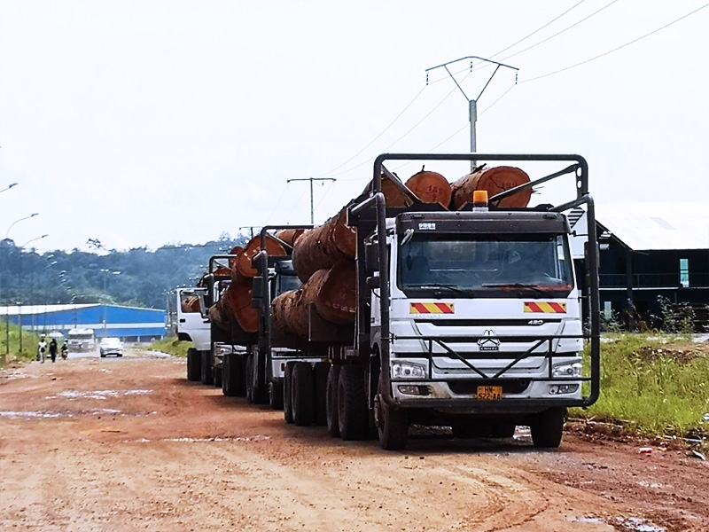 Le camion porte-grums travaille en charge entière des bois.