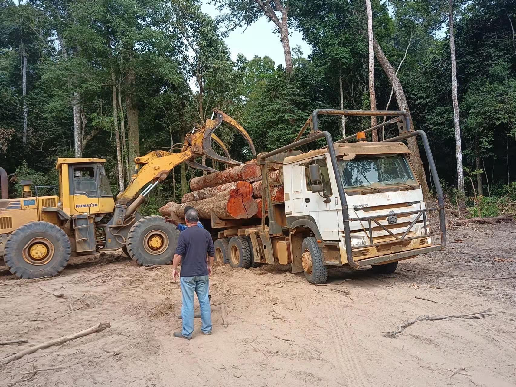 Logs loaded by SINOTRUK HOWO log truck at forest log yard